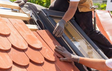 replacement Boquio roof windows