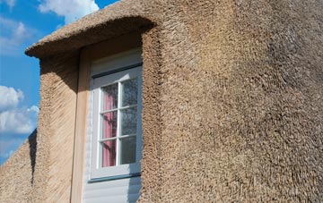 Boquio thatch roof disadvantages